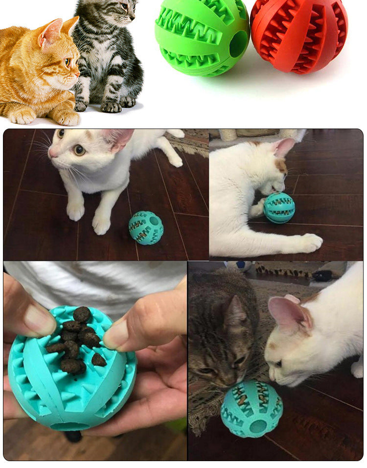 Pet Feeder Balls